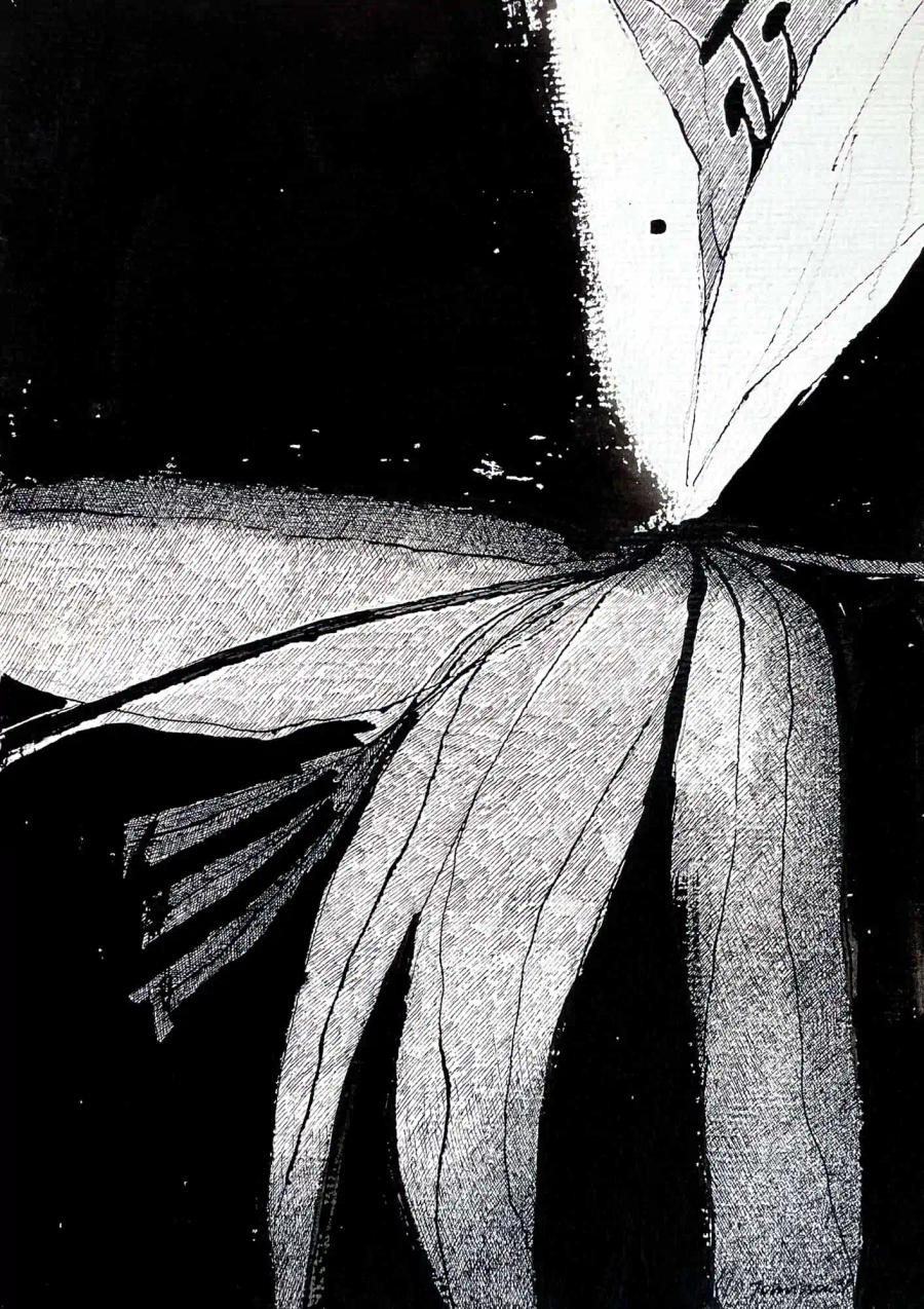 Coloring Page Flower