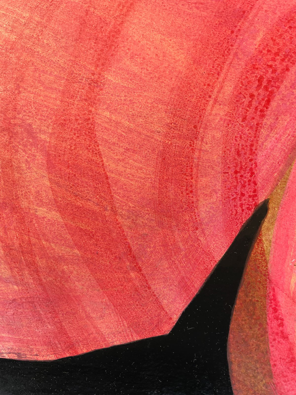 Rose in Black Background — detail 2