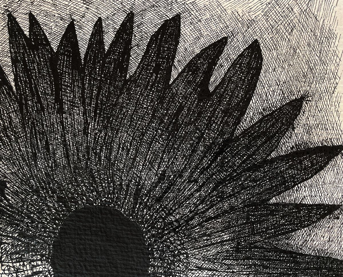 Flower Drawing - Black Eye — detail 1
