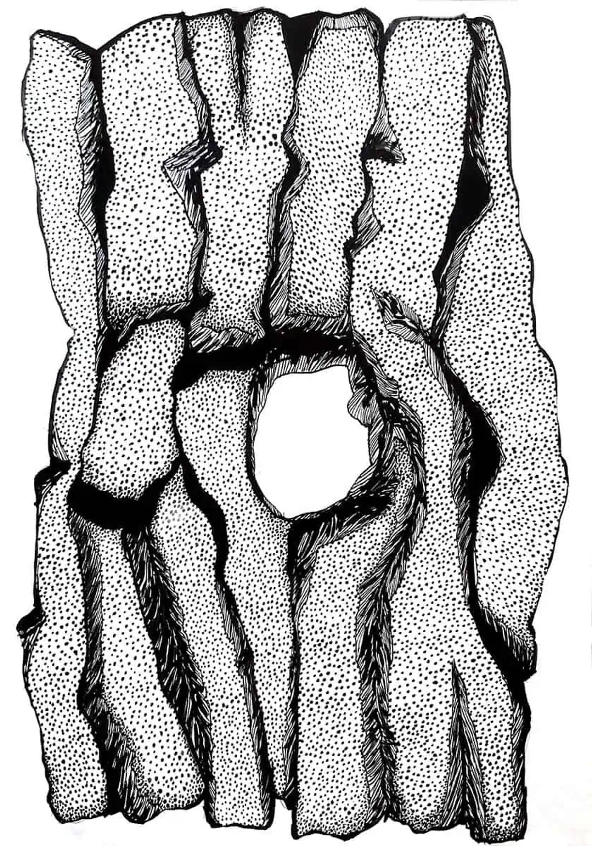 Art drawings – introduce black and white art in Your Living Room Decor