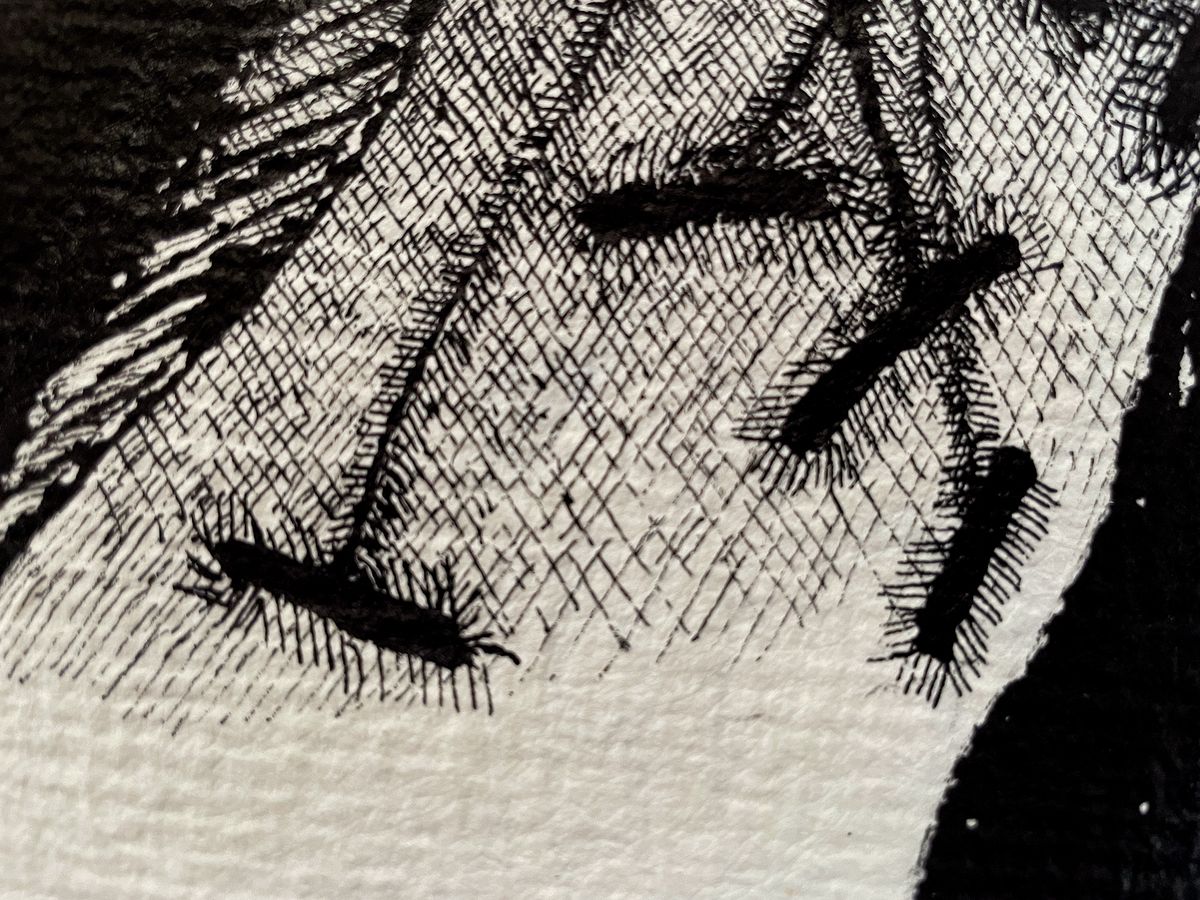 White and Black Flower — detail 2