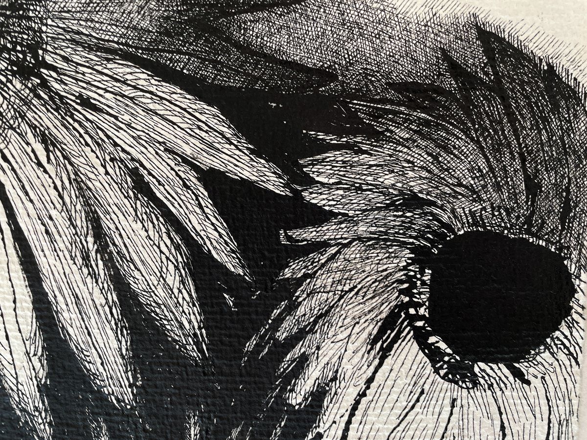 Flower Drawing - Black Eye — detail 2