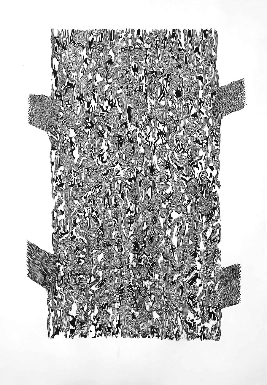 Mystery of Tree Trunks Nature