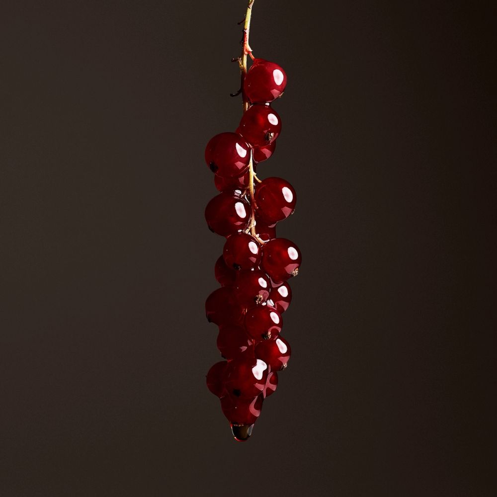 Cherry / Editorial