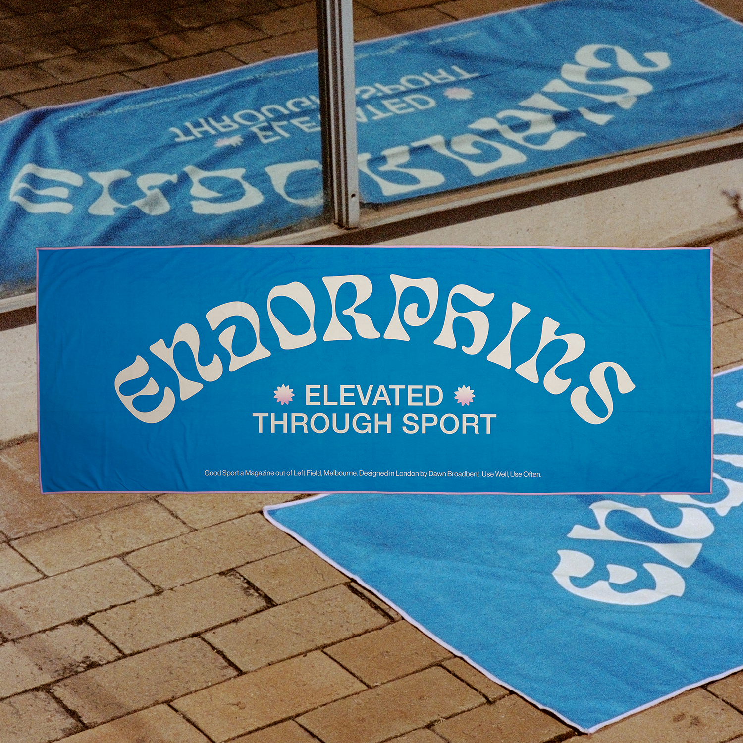 Photograph of the product