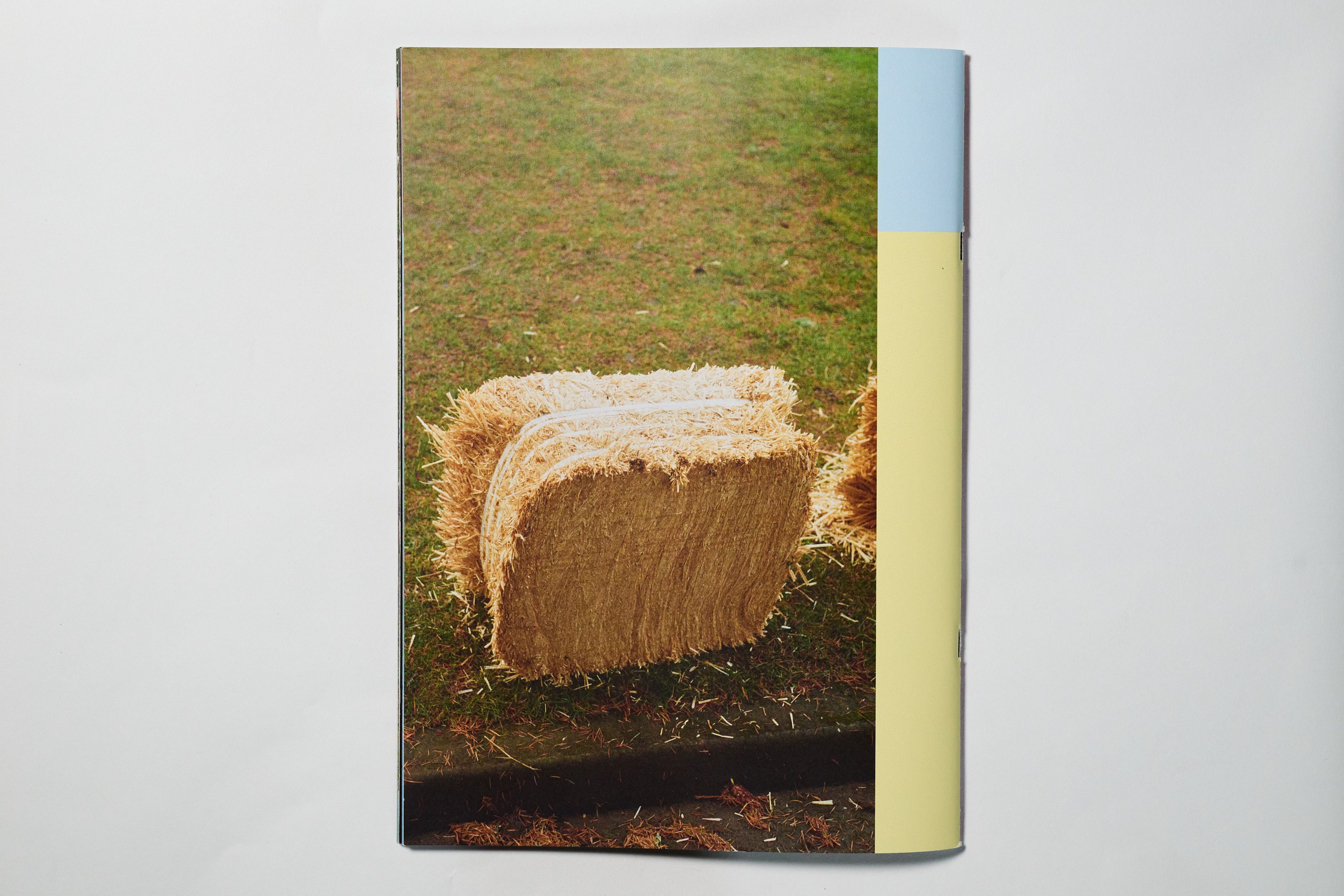 Photograph of the product