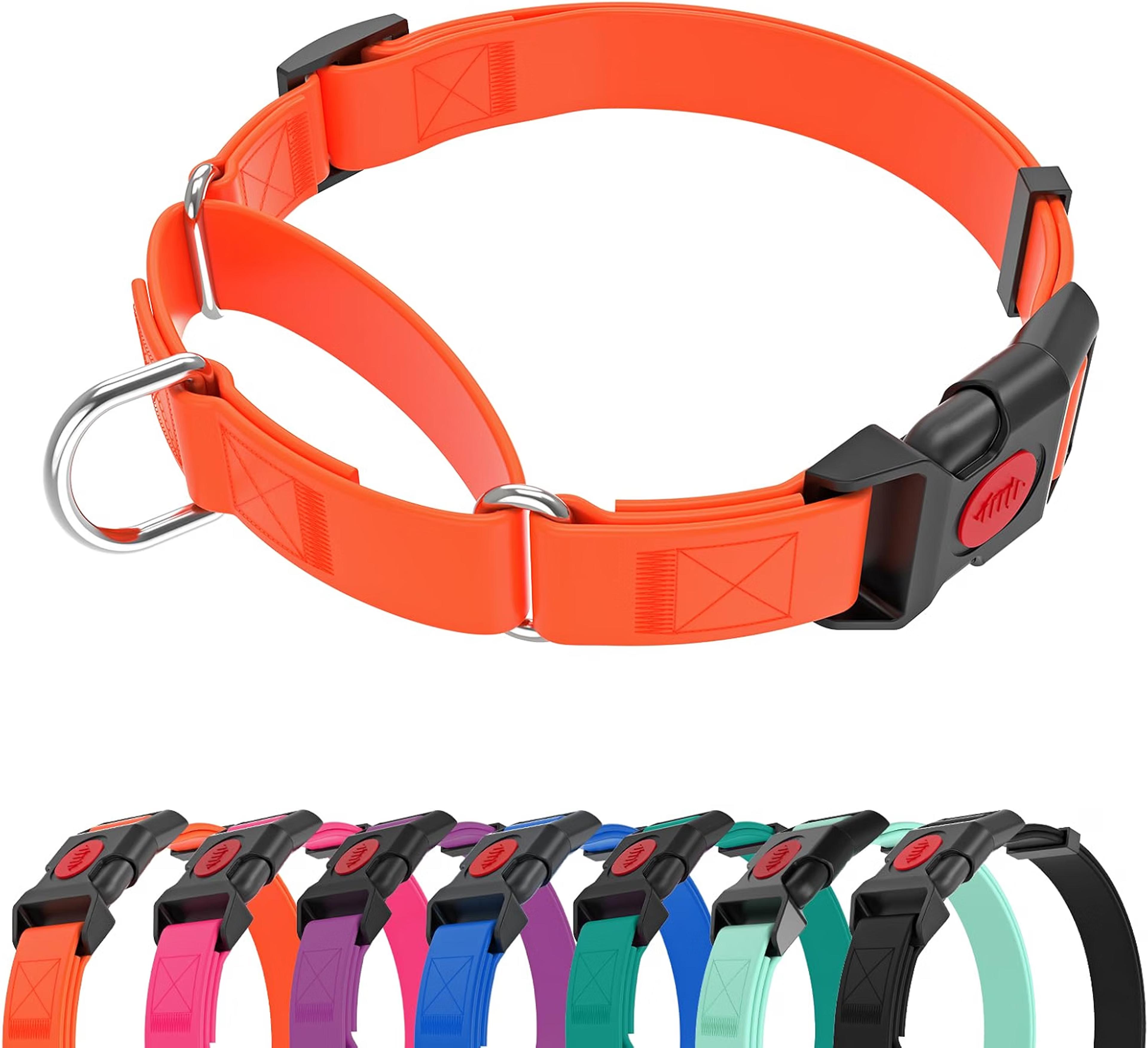 KIDDING PETS waterproof Martingale collar for medium to large dogs