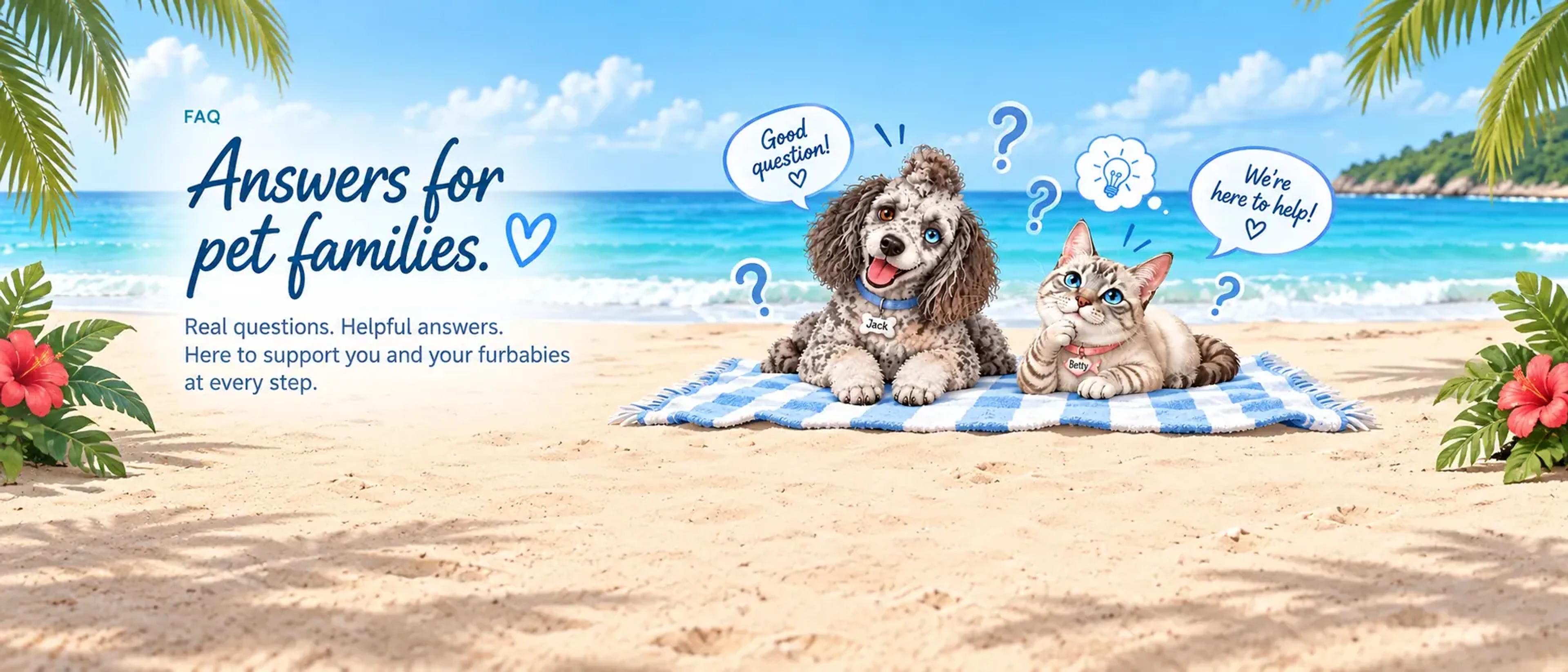 Happy dog Jack and cat Betty relaxing on a blue-and-white beach blanket, surrounded by question marks and speech bubbles on a sunny tropical beach.