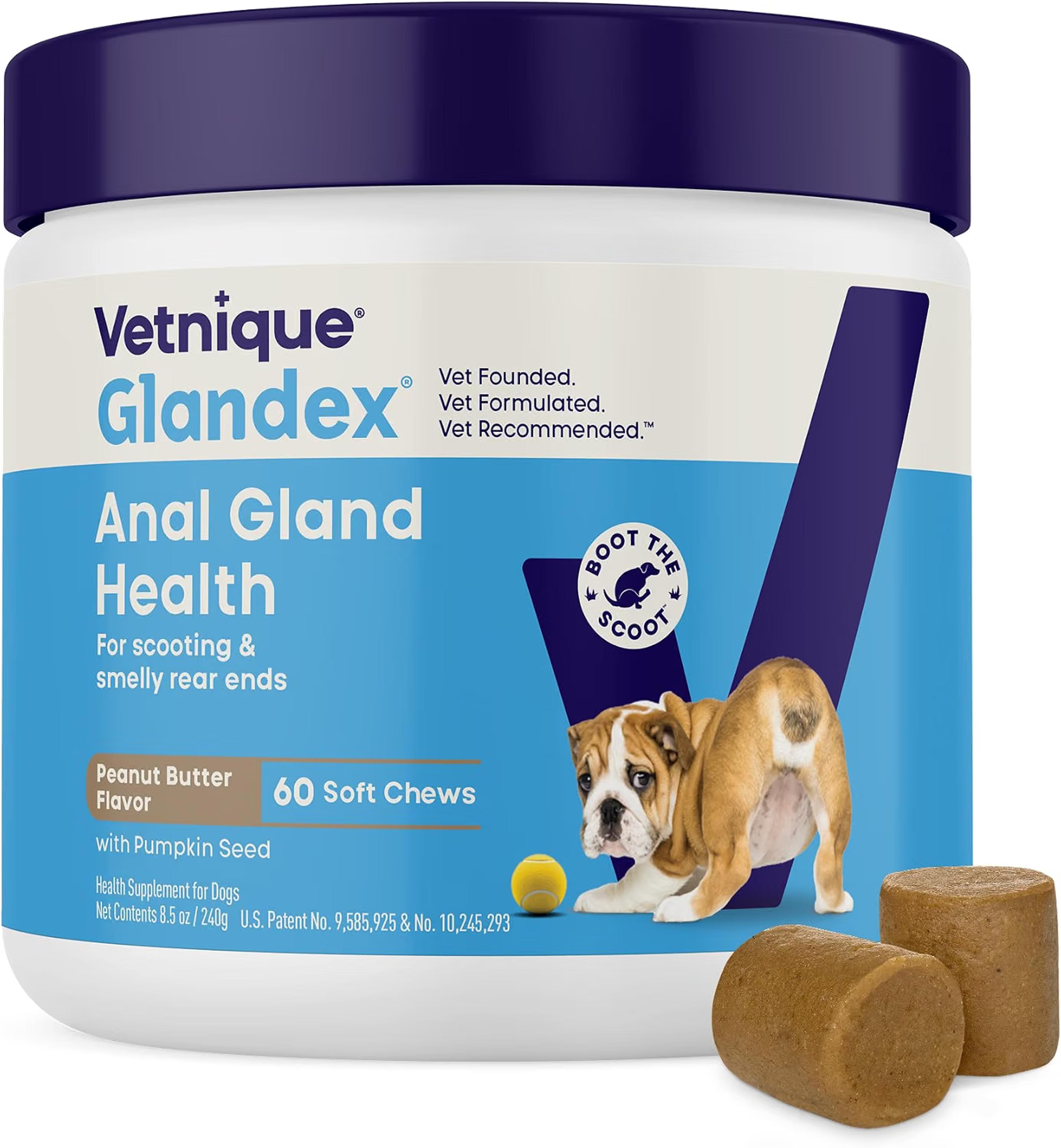 Vetnique Glandex anal gland soft chews with pumpkin for dogs