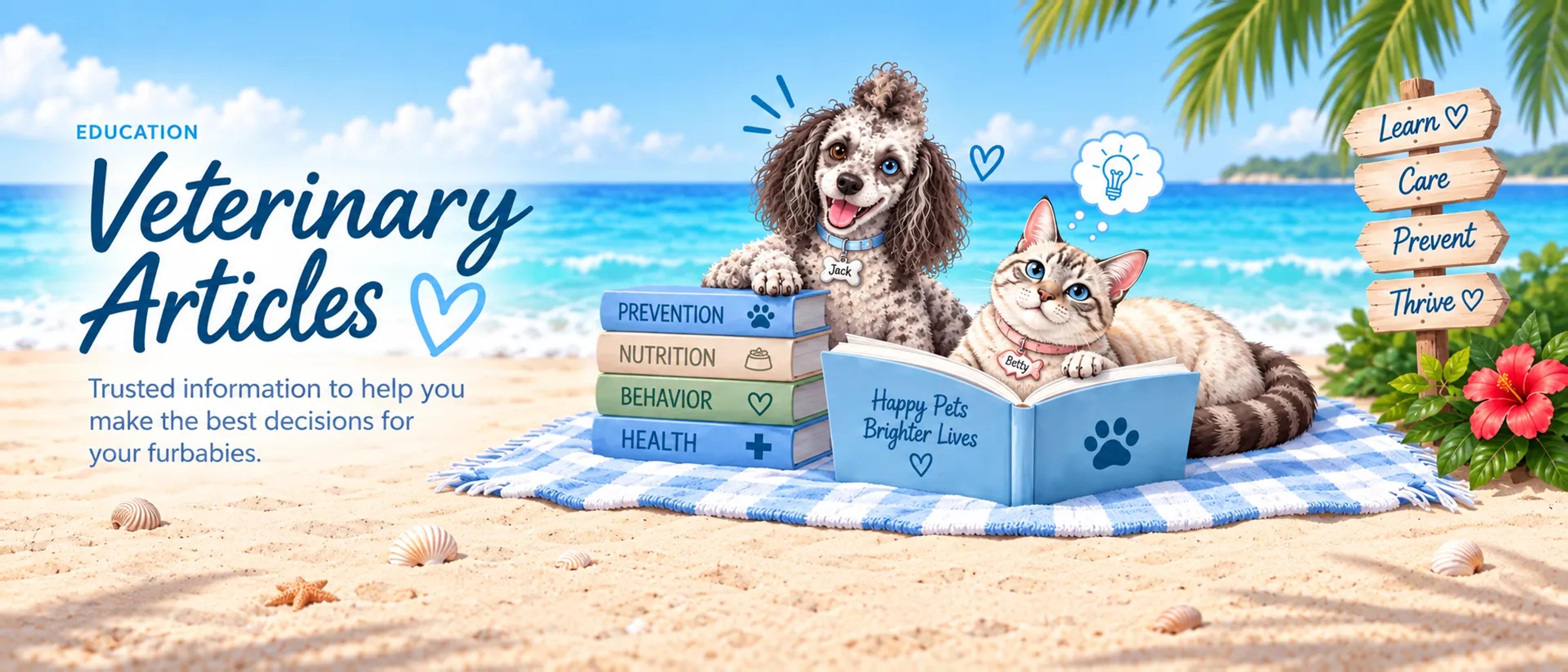 Bright tropical beach scene with Jack, a happy curly-haired dog, and Betty, a blue-eyed cat, reading a book together beside colorful pet-care books on a beach towel.