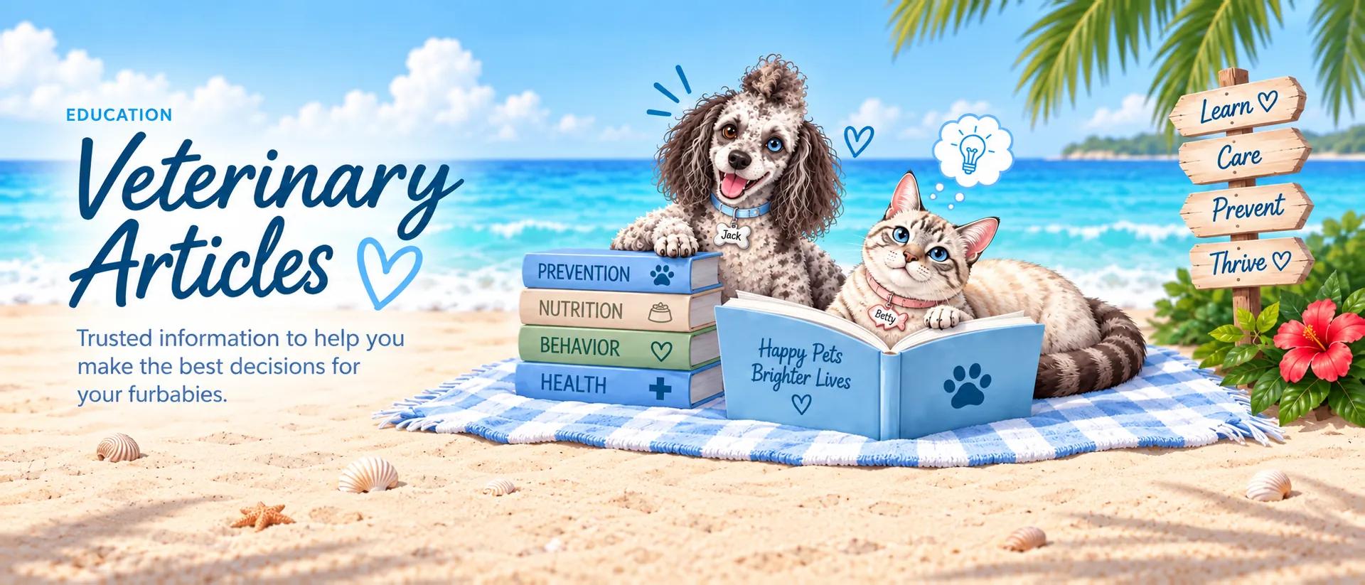 Bright tropical beach scene with Jack, a happy curly-haired dog, and Betty, a blue-eyed cat, reading a book together beside colorful pet-care books on a beach towel.