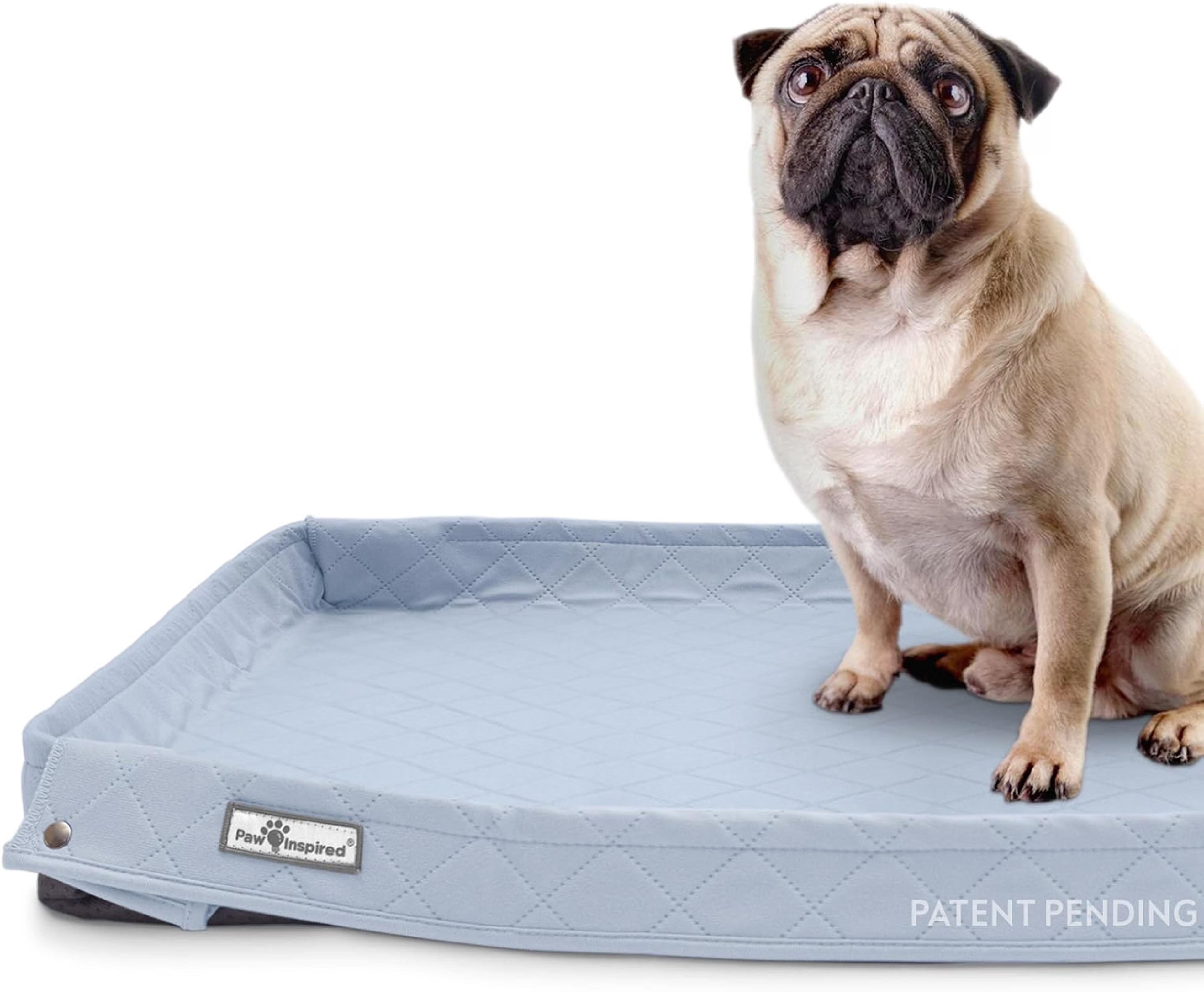 Paw Inspired reusable 32x32-inch washable dog pad with raised sides