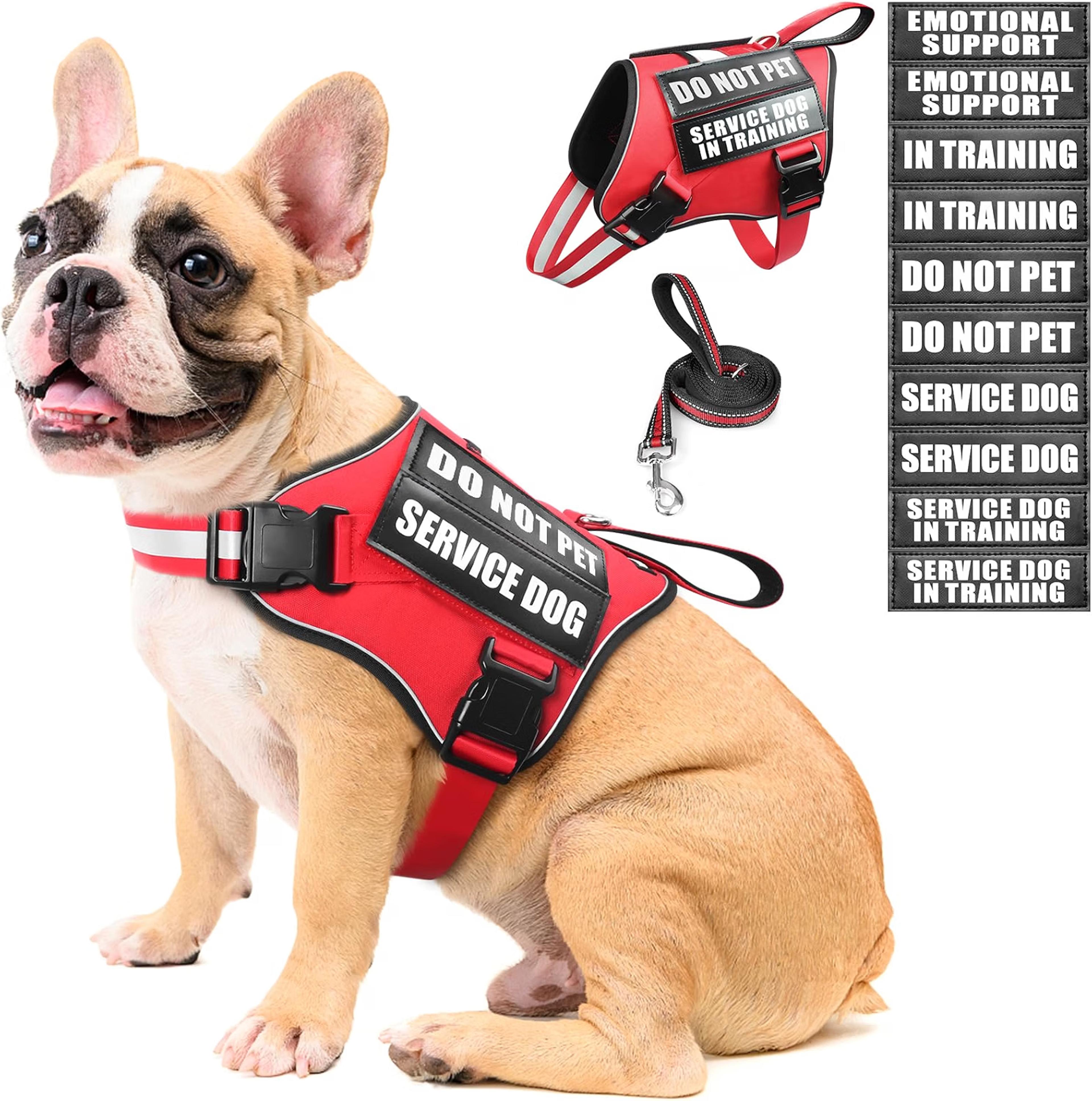 MOOGROU reflective dog harness and leash set with interchangeable patches