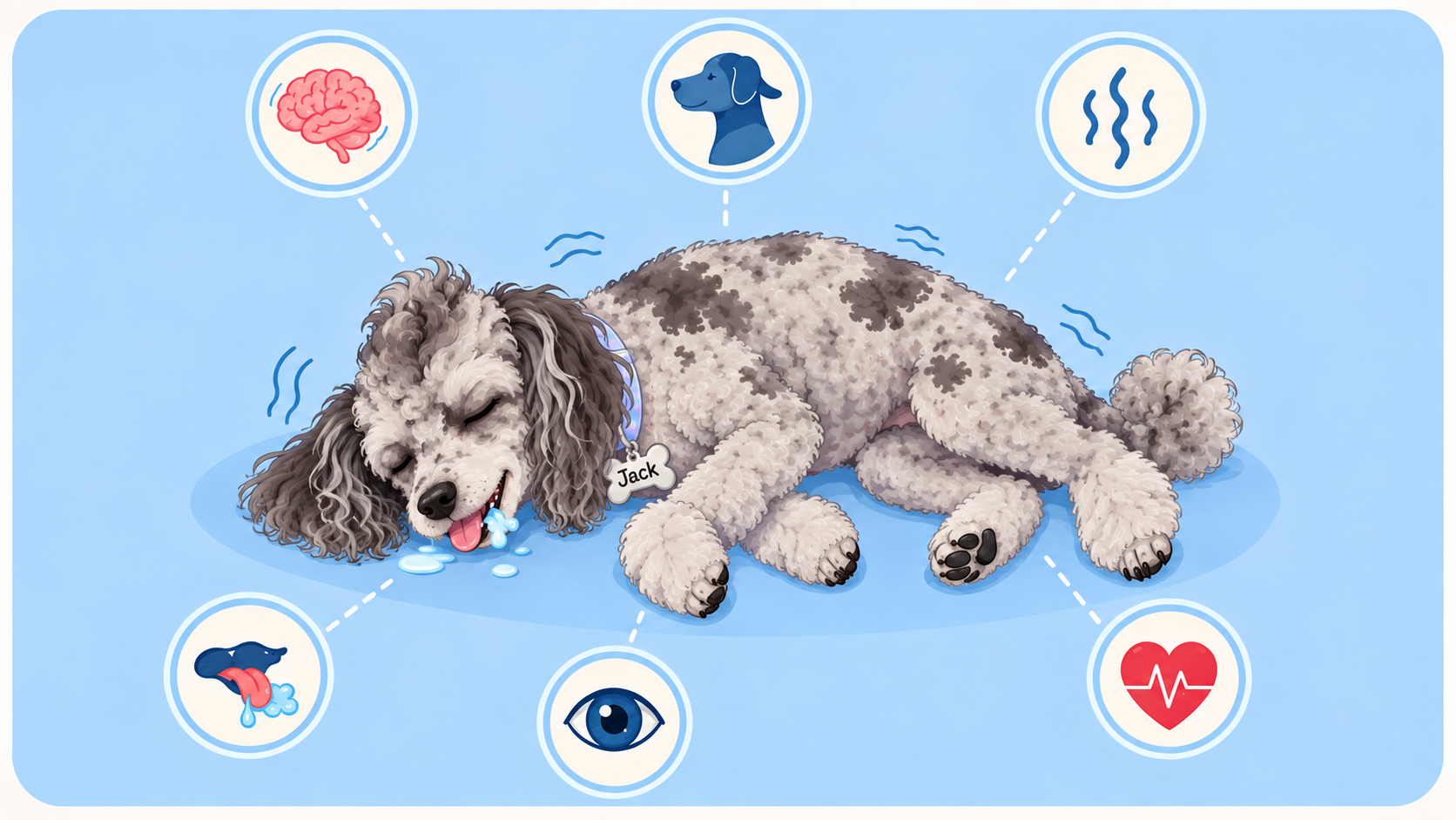Dog having a seizure