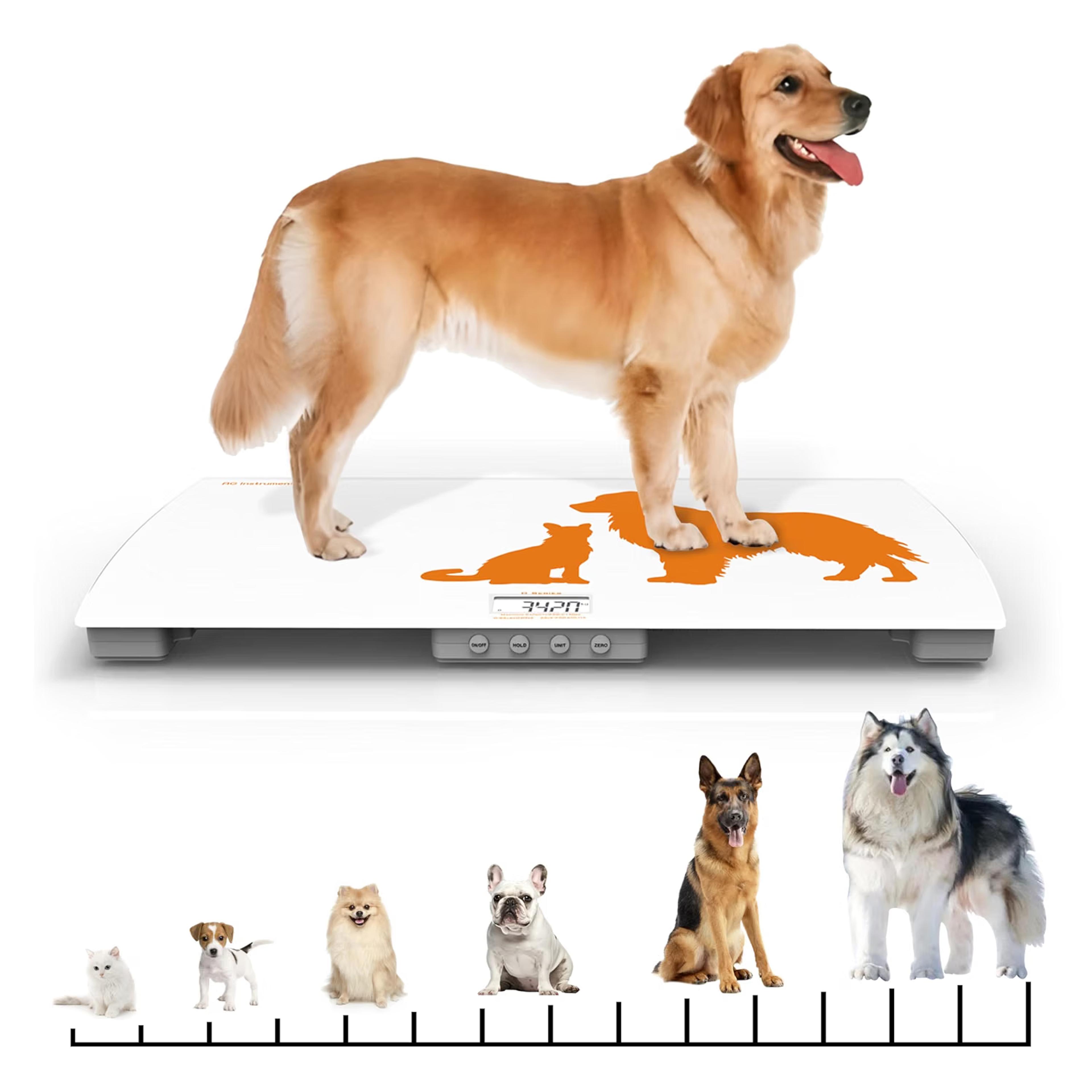 A large, high-capacity digital scale designed for accurately weighing dogs and other pets up to 330 lbs. The wide platform makes it especially useful for large dogs and routine weight monitoring at home.