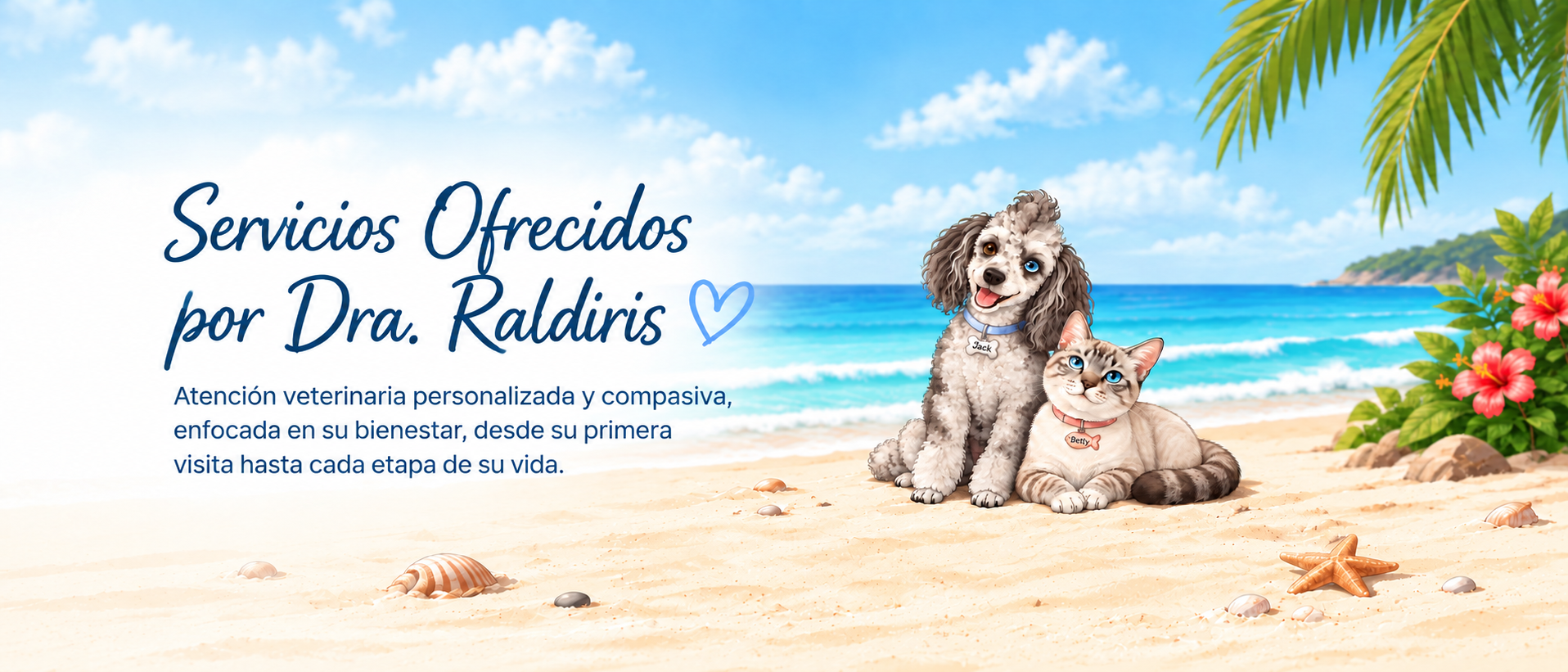 Servicios