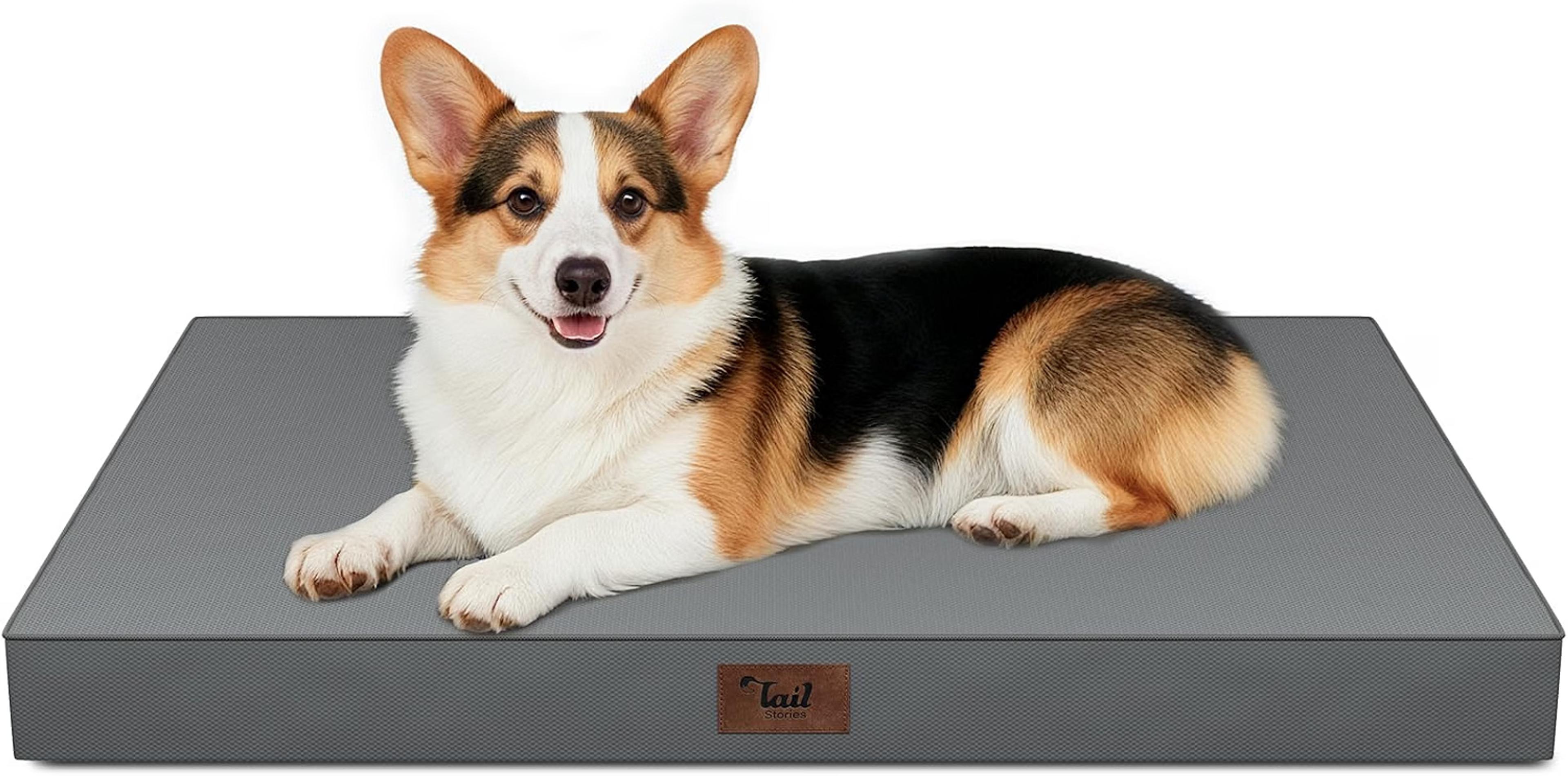 Tail Stories waterproof orthopedic dog bed with egg-crate foam for large dogs