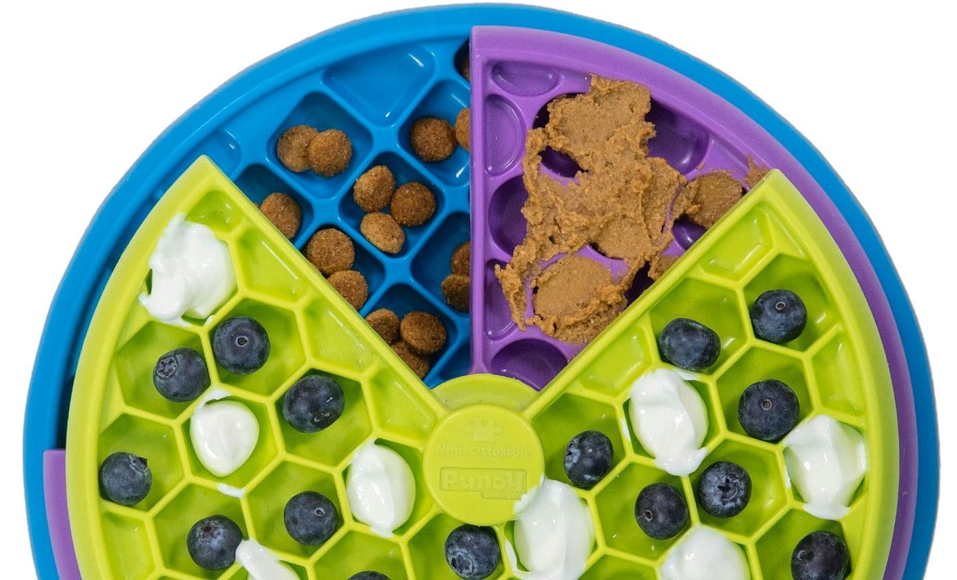 Nina Ottosson Lickin’ Layers interactive puzzle toy for dogs