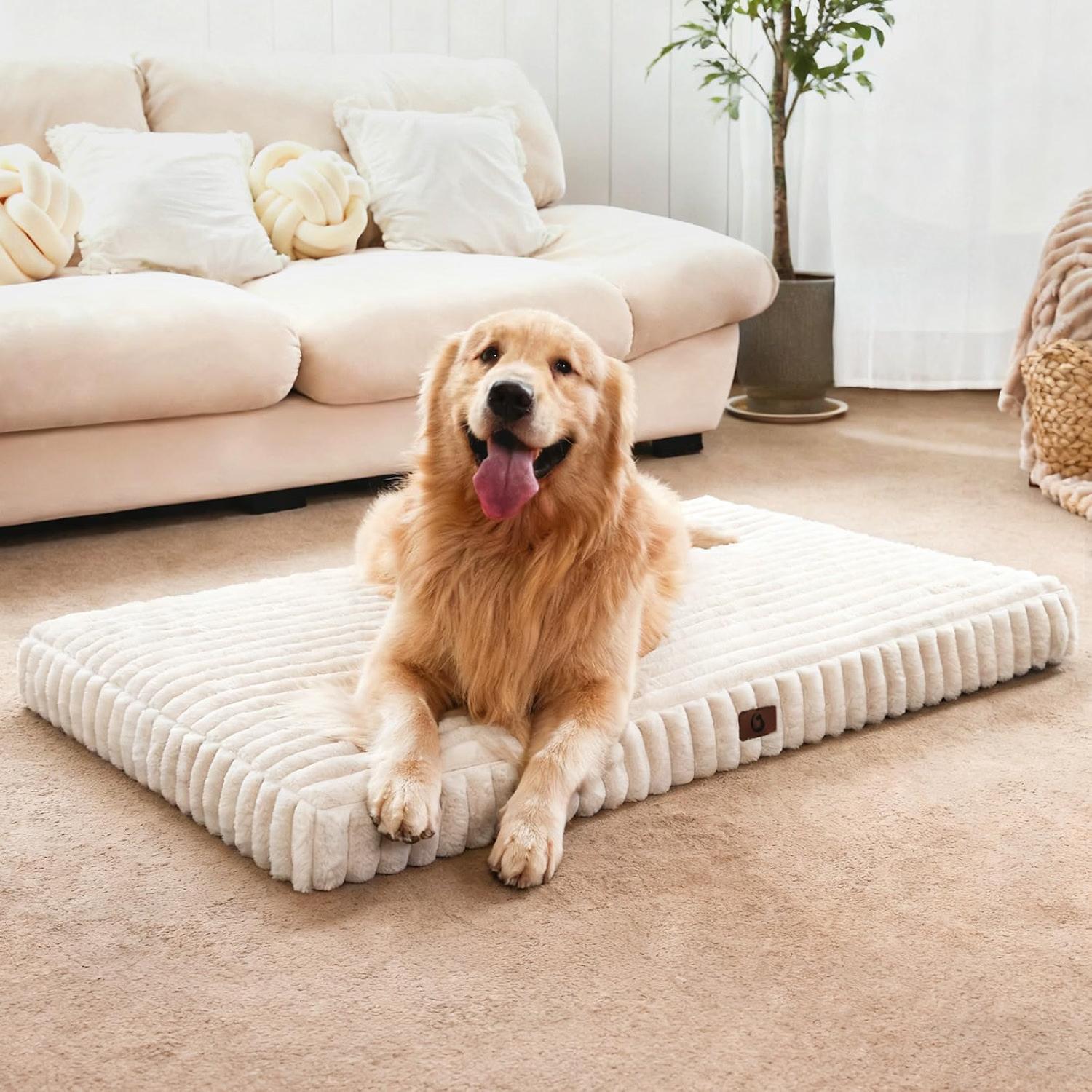 Cozila orthopedic dog bed with plush surface and egg-crate foam