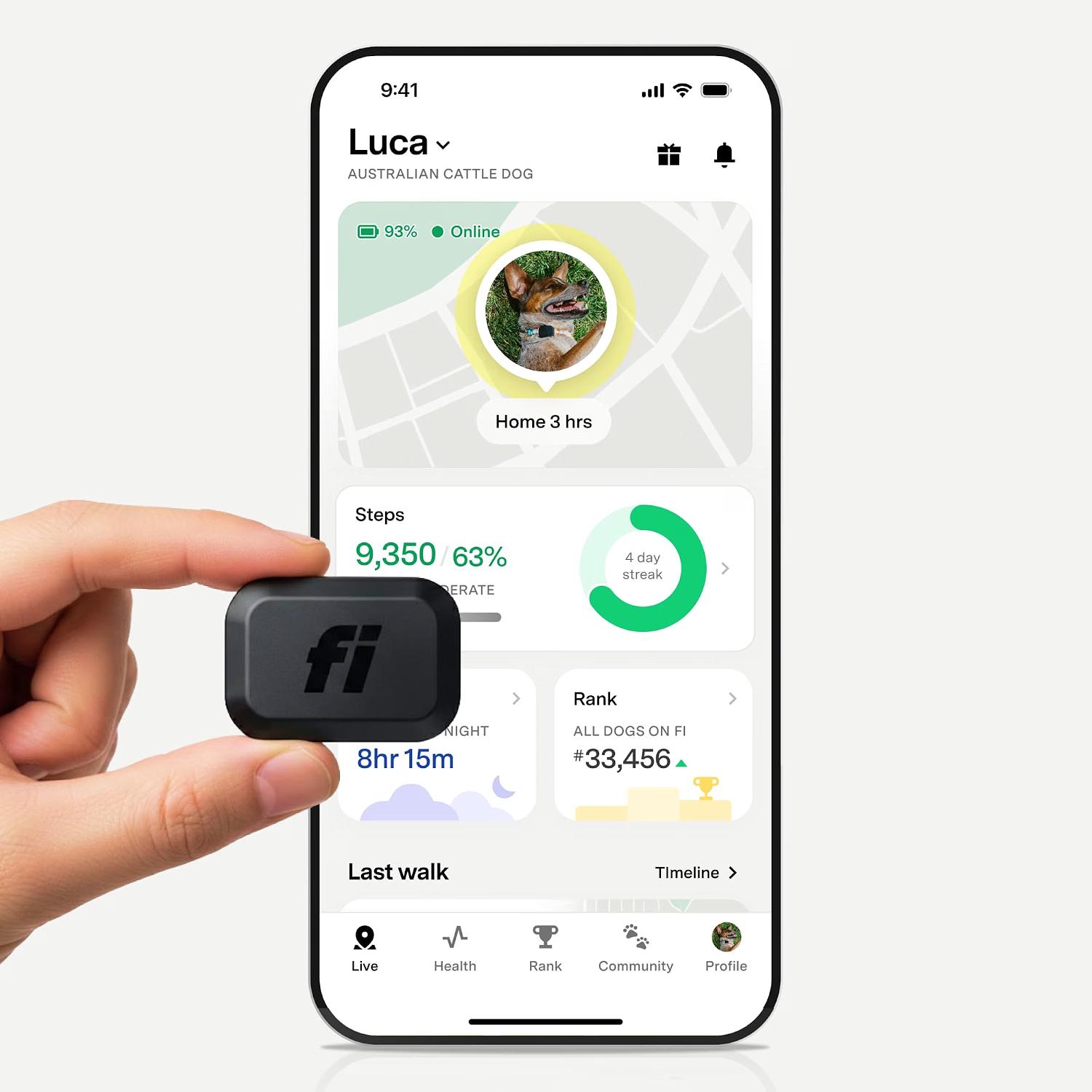 Fi Mini GPS and health tracker attached to a pet collar