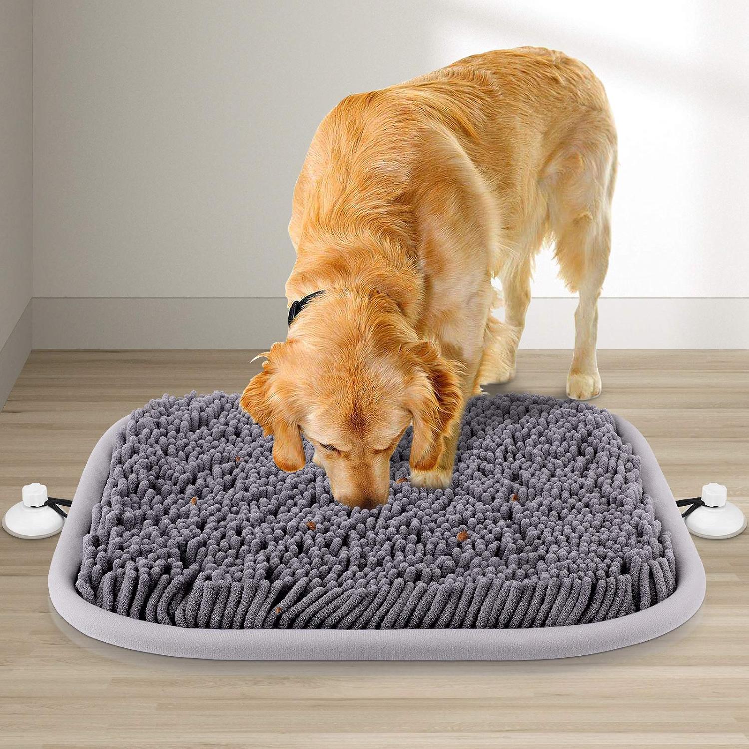 DR CATCH interactive dog puzzle feeder for mental enrichment and slow feeding