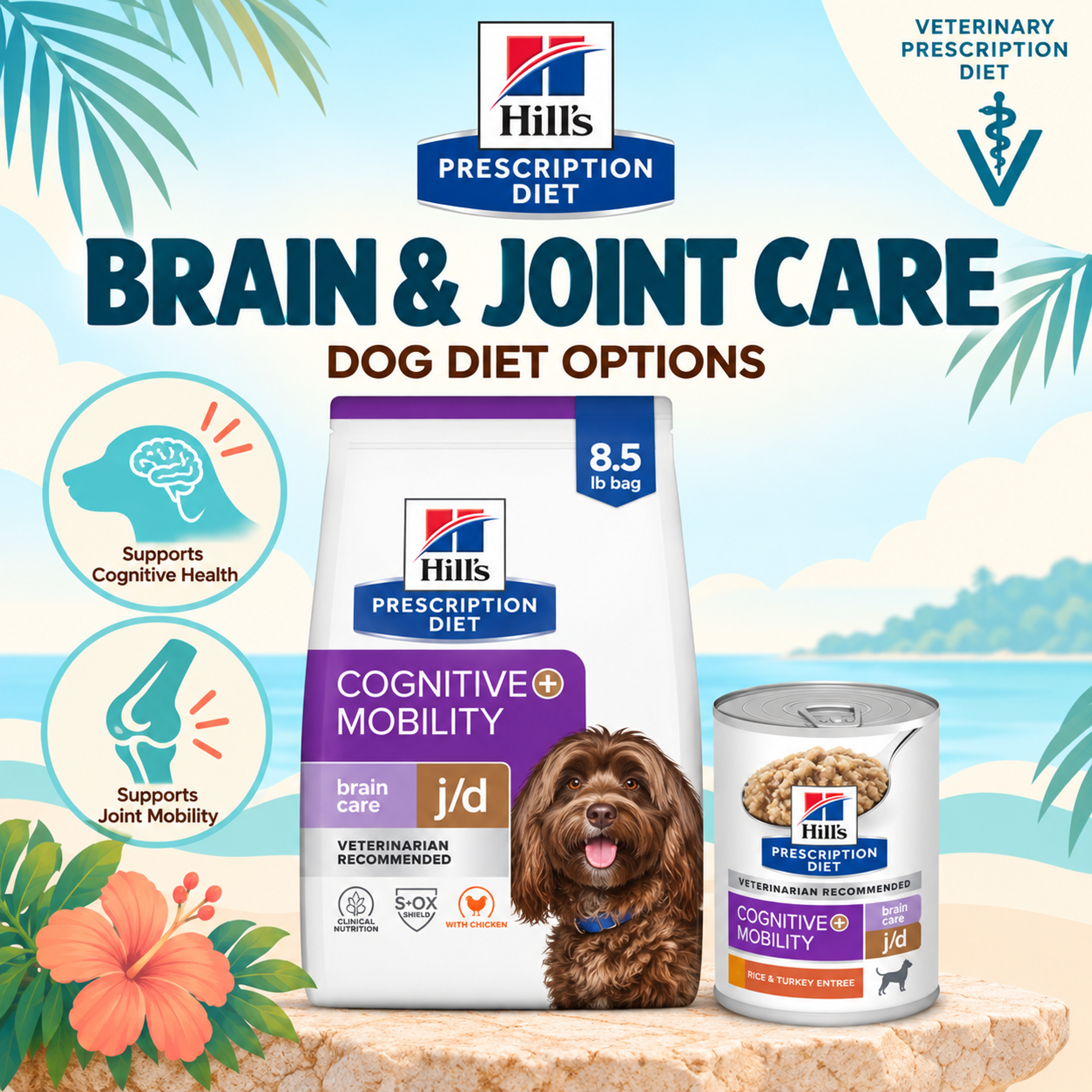 Hill’s Prescription Diet b/d Brain Care dog food for senior dogs