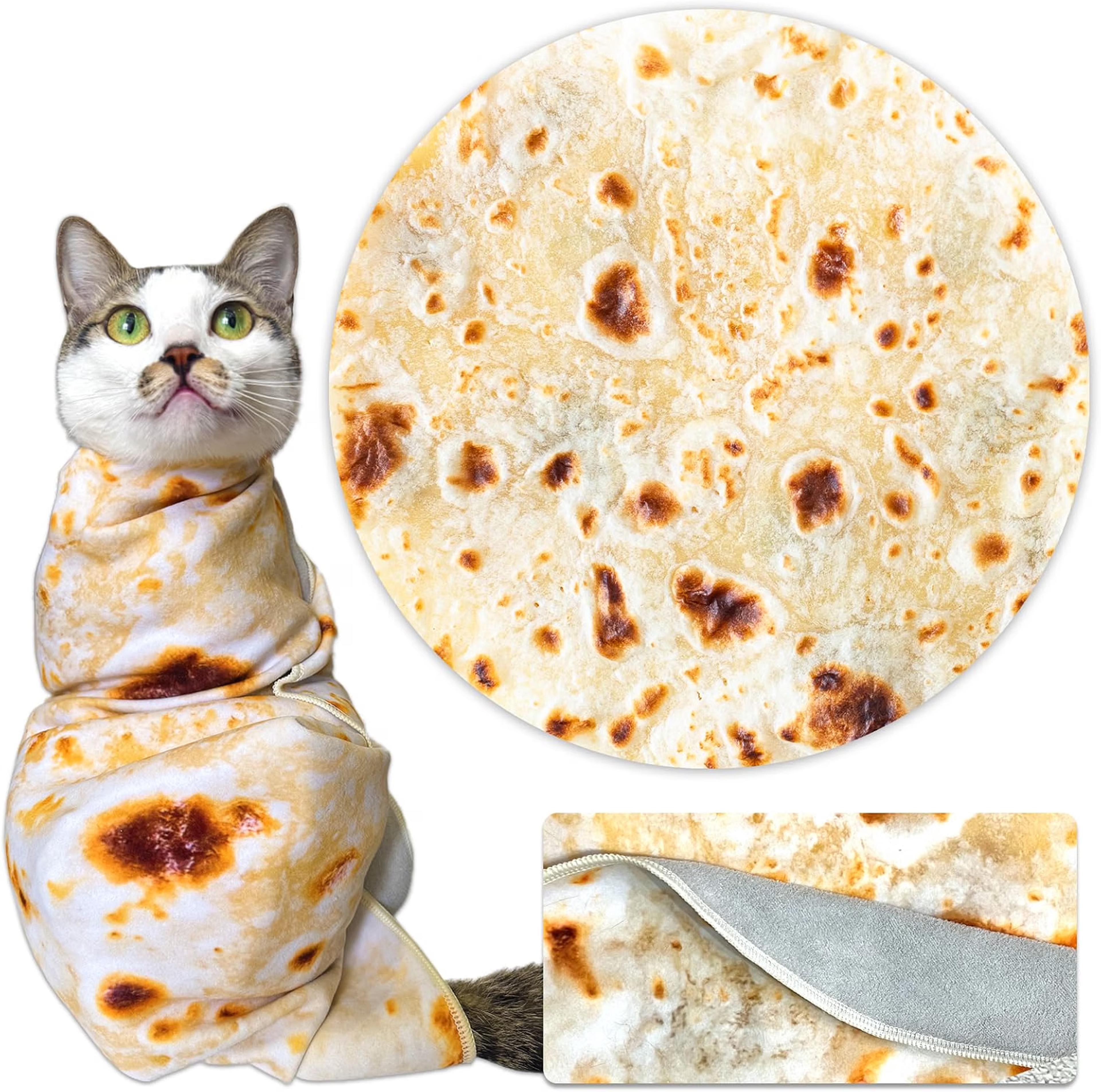 Cat wearing a restraint wrap 