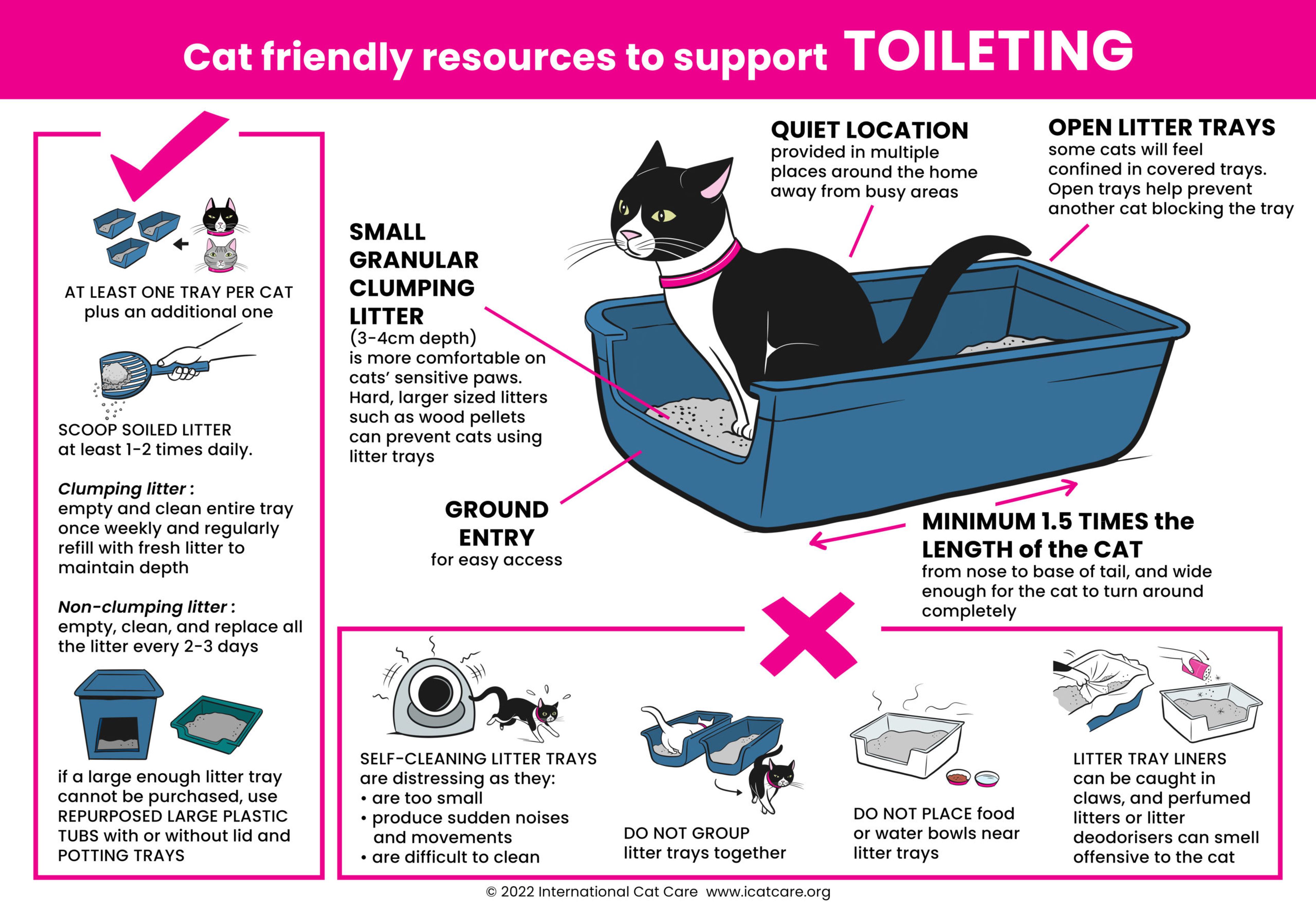 The ideal litter box for cats 