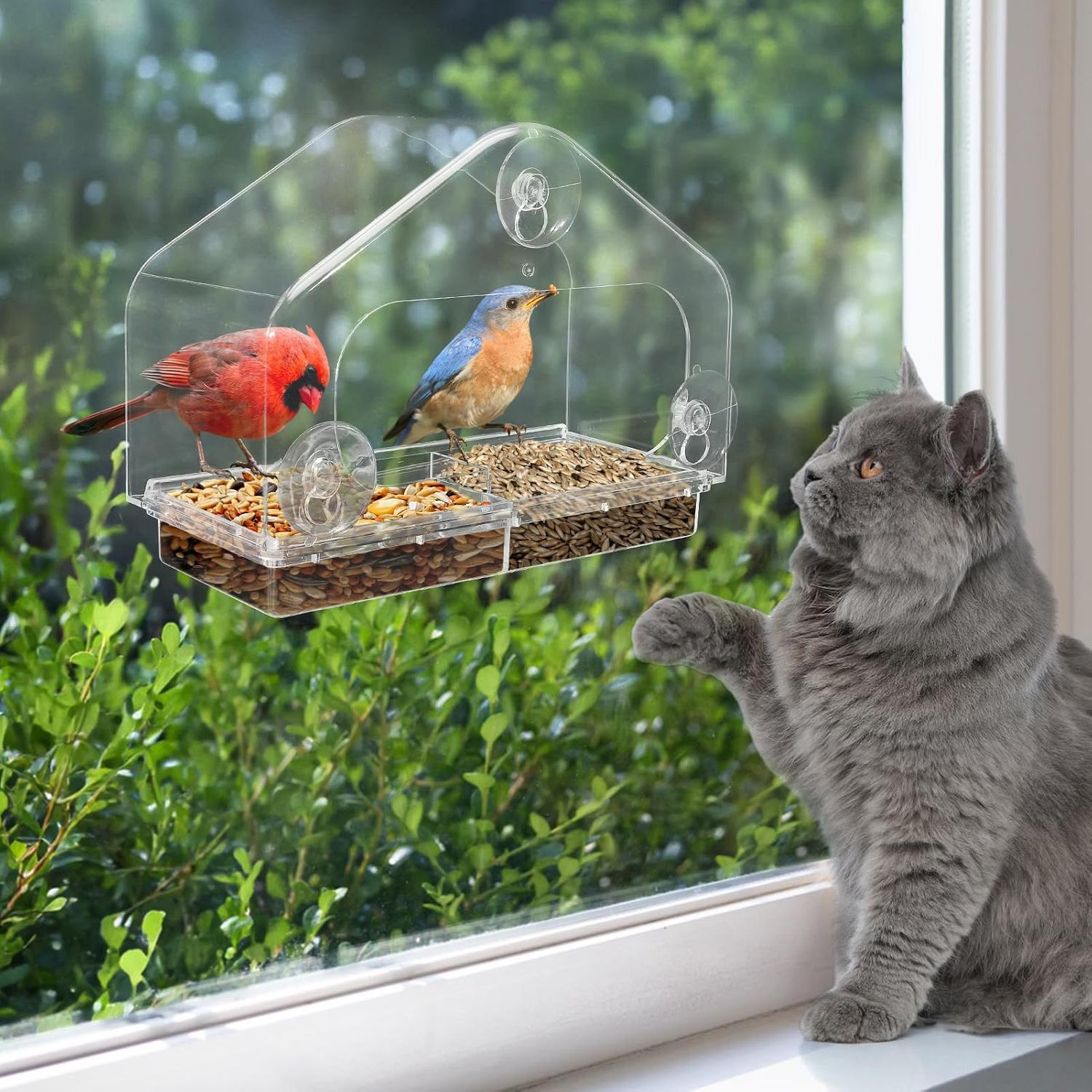 Nature Anywhere Birds-I-View window bird feeder for cat enrichment