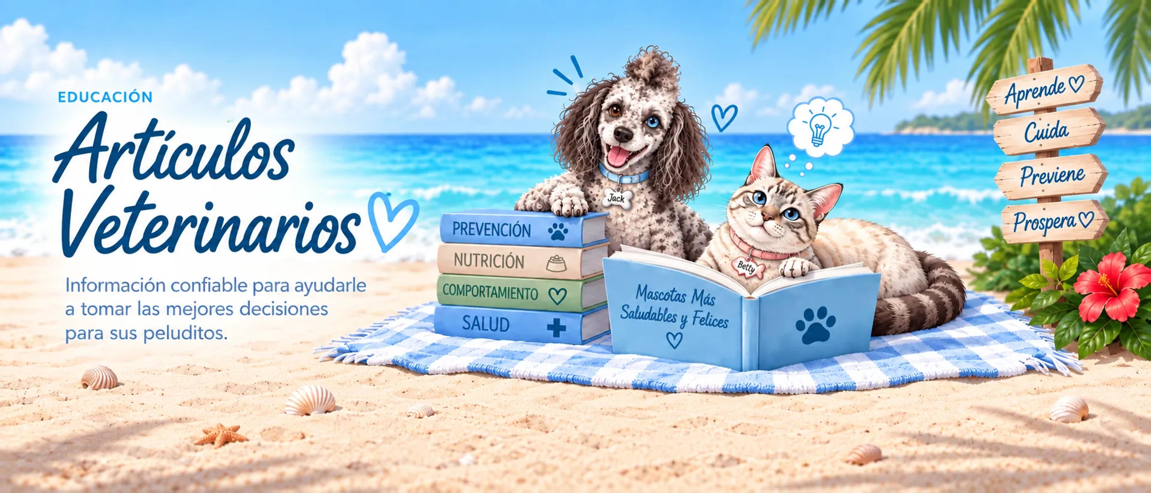 Escena luminosa de una playa tropical con Jack, un perro feliz de pelo rizado, y Betty, una gata de ojos azules, leyendo juntos junto a libros coloridos sobre el cuidado de mascotas sobre una manta de playa.