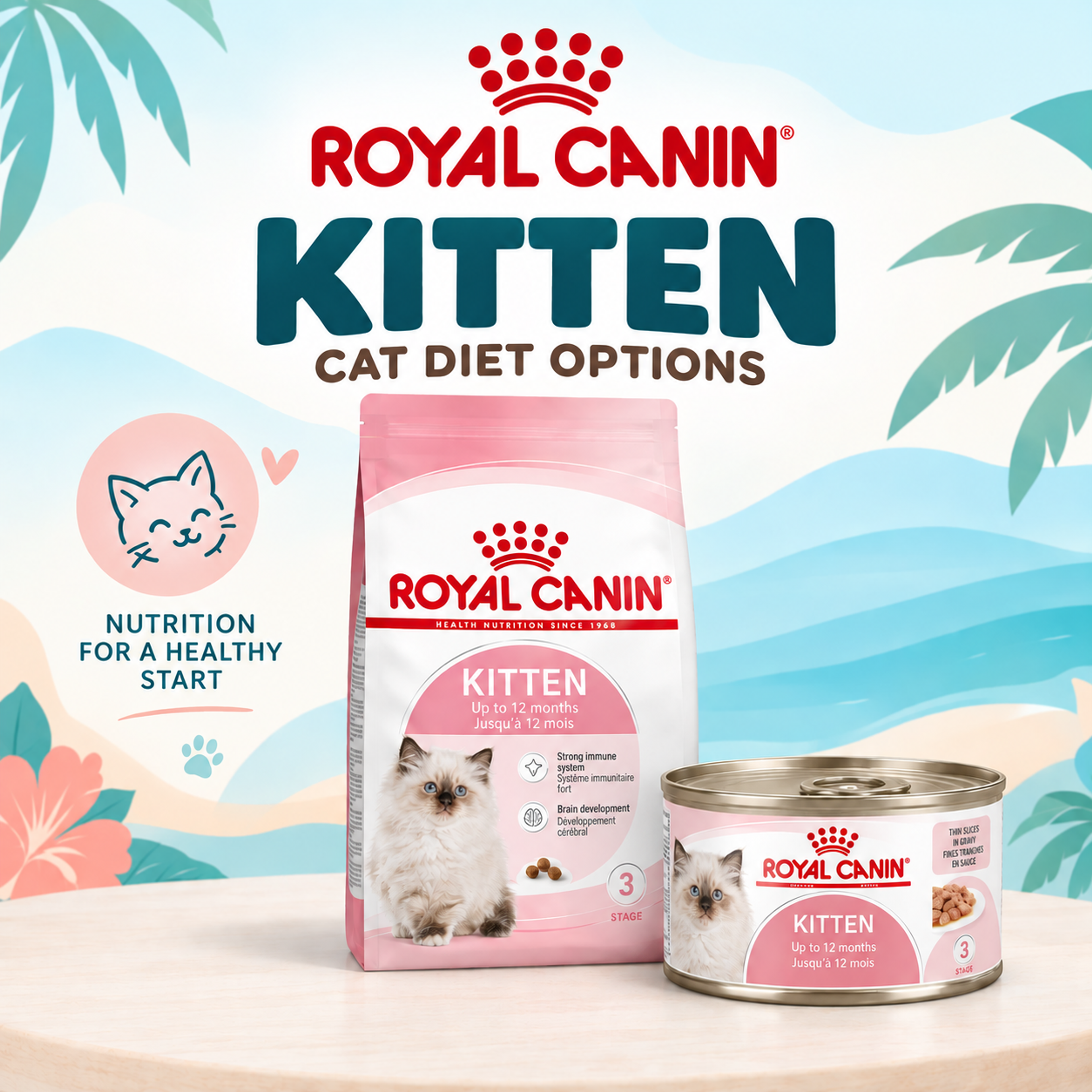 Royal Canin Kitten Food for 4–12 months old