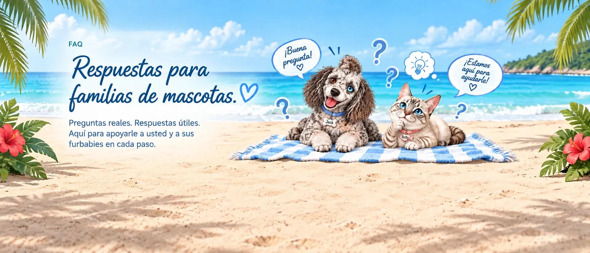 El perro Jack y la gata Betty descansan felices sobre una manta azul y blanca en la playa, rodeados de signos de interrogación y burbujas de diálogo en una playa tropical soleada.