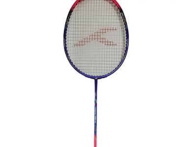 Powertek 1000 Pro