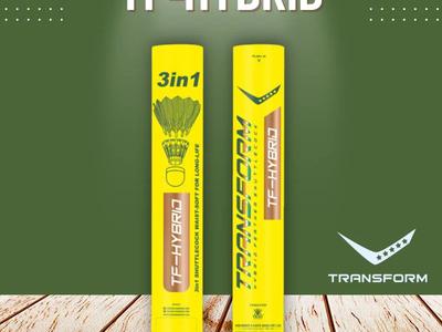 TF-Hybrid  
