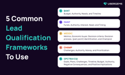 Lead Qualification Frameworks 