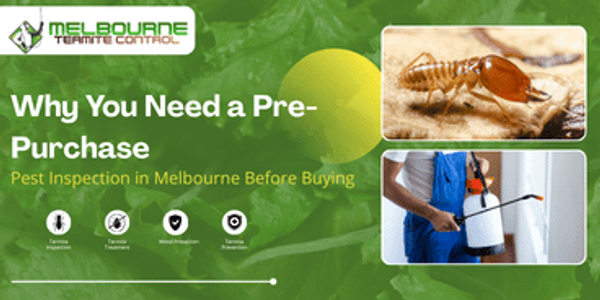 pre purchase pest inspection melbourne