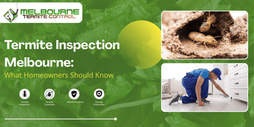 Termite Inspection Melbourne: 
