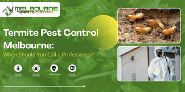 termite control melbourne