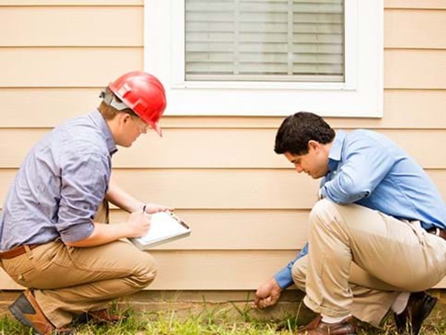 pre purchase pest inspection melbourne