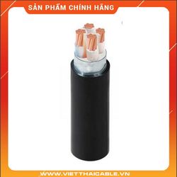 Cáp điện lực hạ thế có giáp bảo vệ - 0.6/1kV, TCVN 5935-1 (1 lõi, ruột đồng, cách điện XLPE, giáp băng nhôm bảo vệ, vỏ PVC)