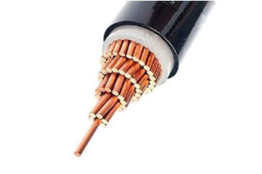Cáp điện lực – Nền tảng hạ tầng truyền tải năng lượng trong hệ thống điện hiện đại
