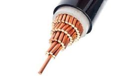 Cáp điện lực – Nền tảng hạ tầng truyền tải năng lượng trong hệ thống điện hiện đại