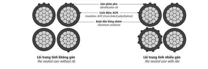 cấu trúc