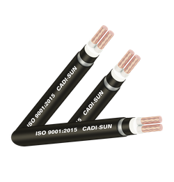 Cáp ngầm 2 ruột bọc cách điện XLPE, bọc vỏ PVC (TCVN 5935-1/ IEC 60502-1, Cu/XLPE/PVC/DSTA/PVC, 0.6/1kV)