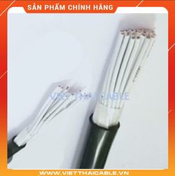 Cáp điều khiển - 0.6/1kV, TCVN 5935-1 (2 lõi, ruột đồng, cách điện PVC, vỏ PVC)