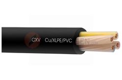 Cáp điện lực hạ thế CXV - 0.6/1kV - TCVN 5935 (3 lõi pha + 1 lõi trung tính, ruột đồng, cách điện XLPE, vỏ bọc PVC)