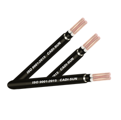 Cáp điện kế 2 ruột bọc cách điện XLPE, bọc vỏ PVC (TCVN 5935-1/ IEC 60502-1, Cu/XLPE/DATA/PVC, 0.6/1kV)