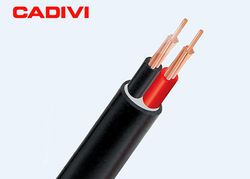 Cáp điện lực hạ thế - 300/500V, TCVN 6610-4 (2 lõi, ruột đồng, cách điện PVC, vỏ PVC)