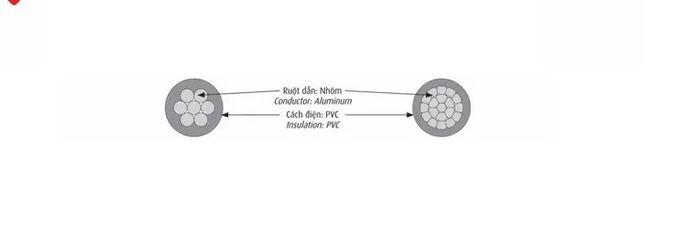 cấu trúc