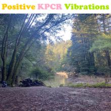 Positive Vibrations
